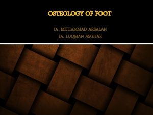 OSTEOLOGY OF FOOT Dr MUHAMMAD ARSALAN Dr LUQMAN