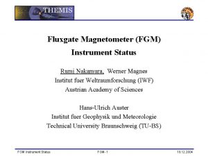 Fluxgate Magnetometer FGM Instrument Status Rumi Nakamura Werner