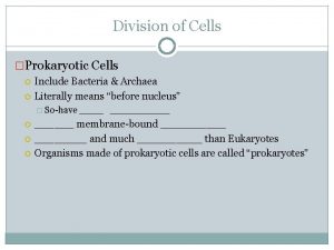 Division of Cells Prokaryotic Cells Include Bacteria Archaea