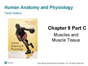 Human Anatomy and Physiology Tenth Edition Chapter 9