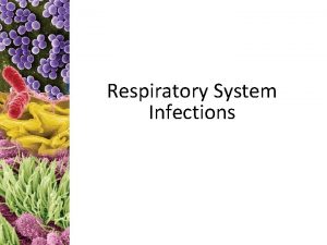 Respiratory System Infections Respiratory System Divided into two