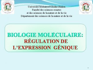 Universit Mohamed KhiderBiskra Facult des sciences exactes et