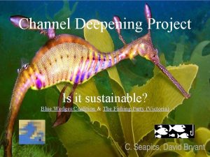 Channel Deepening Project Is it sustainable Blue Wedges