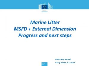 Marine Litter MSFD External Dimension Progress and next