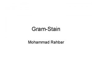 GramStain Mohammad Rahbar PRINCIPLE The Grams stain is