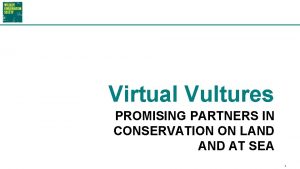 Virtual Vultures PROMISING PARTNERS IN CONSERVATION ON LAND