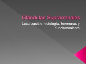 Glndulas Suprarrenales Localizacin histologa hormonas y funcionamiento Cuestionario