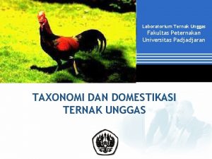 Laboratorium Ternak Unggas Fakultas Peternakan Universitas Padjadjaran TAXONOMI