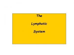 The Lymphatic System Function of the Lymphatic System