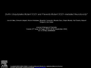 Dorfin Ubiquitylates Mutant SOD 1 and Prevents Mutant