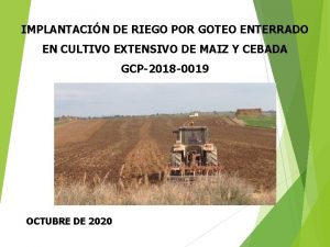 IMPLANTACIN DE RIEGO POR GOTEO ENTERRADO EN CULTIVO