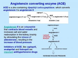 Angiotensin converting enzyme ACE ACE is a zinccontaining