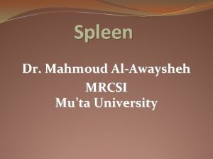 Spleen Dr Mahmoud AlAwaysheh MRCSI Muta University Anatomy