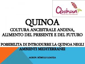 QUINOA COLTURA ANCESTRALE ANDINA ALIMENTO DEL PRESENTE E