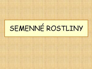 SEMENN ROSTLINY Hlavn rozdly od rostlin vtrusnch Pohlavn