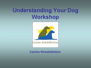 Understanding Your Dog Workshop Canine Rehabilitation Understanding Your