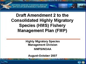 Draft Amendment 2 to the Consolidated Highly Migratory