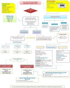 ETIOLOGIA VALVULOPATIA TRICUSPIDEA Sobrecarga con dilatacin del VD