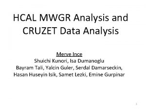 HCAL MWGR Analysis and CRUZET Data Analysis Merve