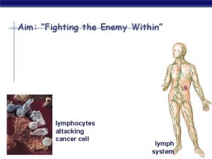 Aim Fighting the Enemy Within lymphocytes attacking cancer