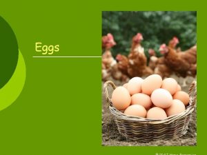 Eggs EGGS ARE A cheap protein food Versatile