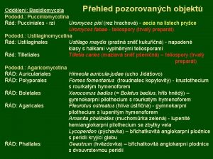 Pehled pozorovanch objekt Oddlen Basidiomycota Pododd Pucciniomycotina d