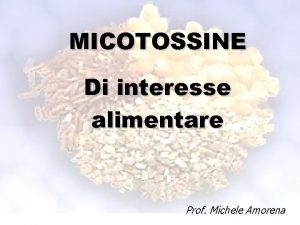 MICOTOSSINE Di interesse alimentare Prof Michele Amorena MICOTOSSICOSI