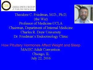 Theodore C Friedman M D Ph D the