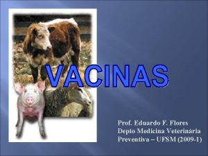 Prof Eduardo F Flores Depto Medicina Veterinria Preventiva