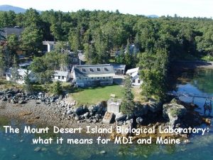 The Mount Desert Island Biological Laboratory what it