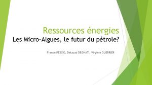 Ressources nergies Les MicroAlgues le futur du ptrole