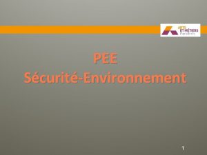 PEE ScuritEnvironnement 1 Enjeux Acteurs Risque Analyse des