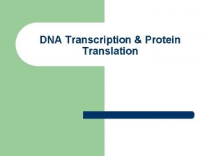 DNA Transcription Protein Translation DNA Transcription l l