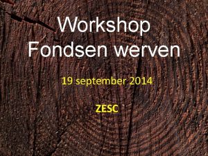 Workshop Fondsen werven 19 september 2014 ZESC Wat