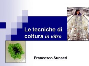 Le tecniche di coltura in vitro Francesco Sunseri