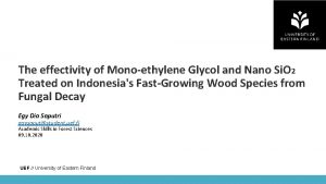 The effectivity of Monoethylene Glycol and Nano Si