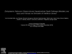 Endoplasmic Reticulum Stressinduced Hepatocellular Death Pathways Mediate Liver