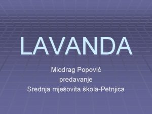 LAVANDA Miodrag Popovi predavanje Srednja mjeovita kolaPetnjica KARAKTERISTIKE