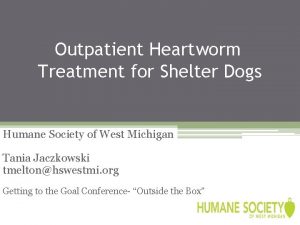 Outpatient Heartworm Treatment for Shelter Dogs Humane Society