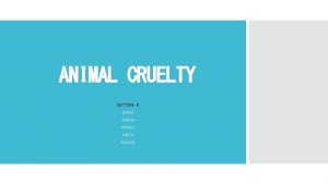 ANIMAL CRUELTY SECTION K DAVID SNEHA MIHIKA VINITA