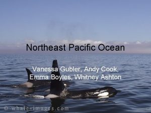 Northeast Pacific Ocean Vanessa Gubler Andy Cook Emma