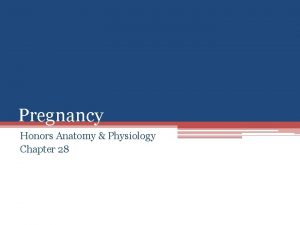 Pregnancy Honors Anatomy Physiology Chapter 28 Pregnancy covers