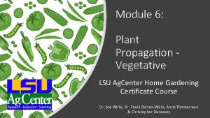 Module 6 Plant Propagation Vegetative LSU Ag Center