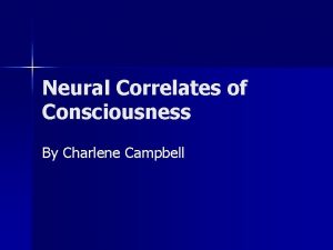 Neural Correlates of Consciousness By Charlene Campbell Different