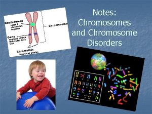 Notes Chromosomes and Chromosome Disorders Characteristics n n