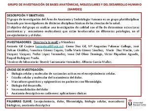 GRUPO DE INVESTIGACIN DE BASES ANATMICAS MOLECULARES Y