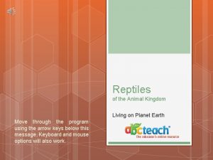 Reptiles of the Animal Kingdom Living on Planet