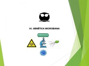 05 GENTICA MICROBIANA 1 1 05 BASES DE