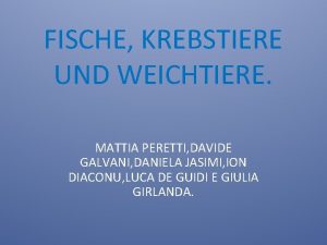 FISCHE KREBSTIERE UND WEICHTIERE MATTIA PERETTI DAVIDE GALVANI