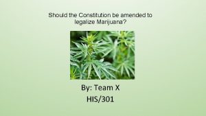 Should the Constitution be amended to legalize Marijuana